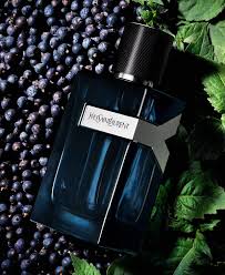 yves saint laurent y intense 100ml edp m 3.3 oz edp spray for men